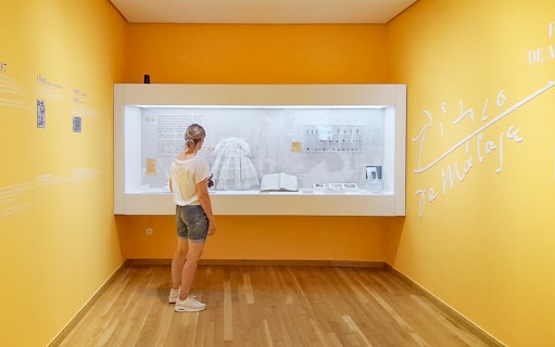 Visitor observing exhibit at Picasso's Birthplace Museum in Málaga.