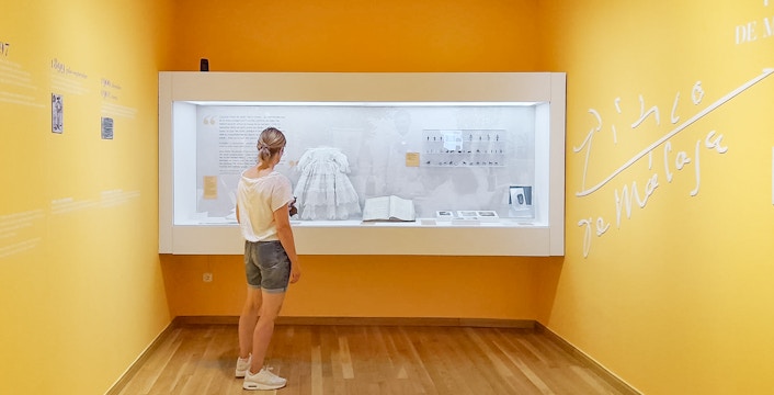 Visitor observing exhibit at Picasso's Birthplace Museum in Málaga.