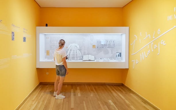 Visitor observing exhibit at Picasso's Birthplace Museum in Málaga.