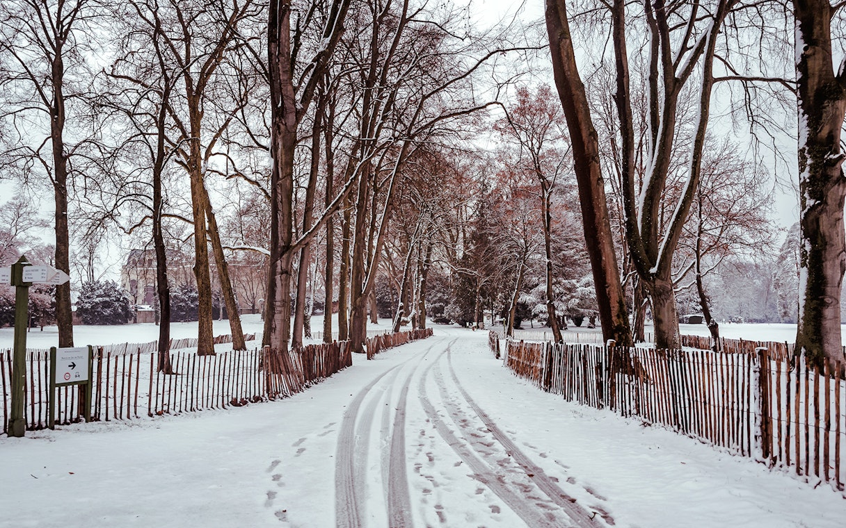 Snow-covered path lined with trees near Chateau of Chantilly, France.
