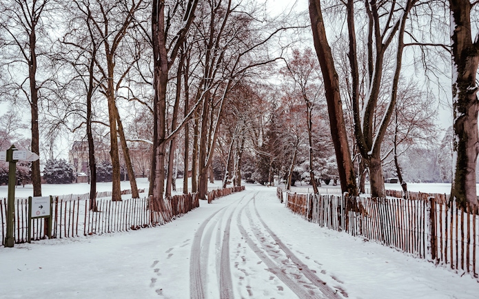 Snow-covered path lined with trees near Chateau of Chantilly, France.
