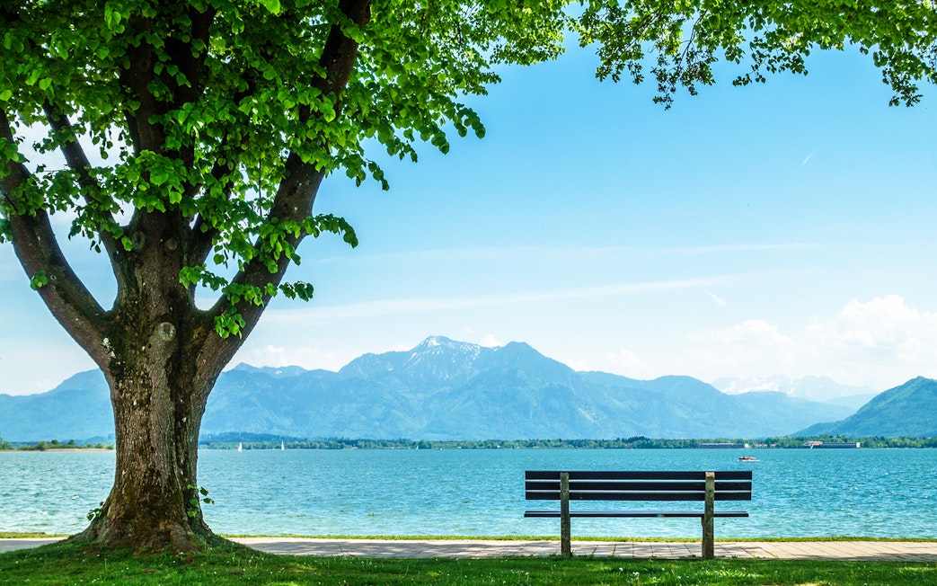 Bench under tree overlooking lake and mountains in Salzkammergut, Austria.