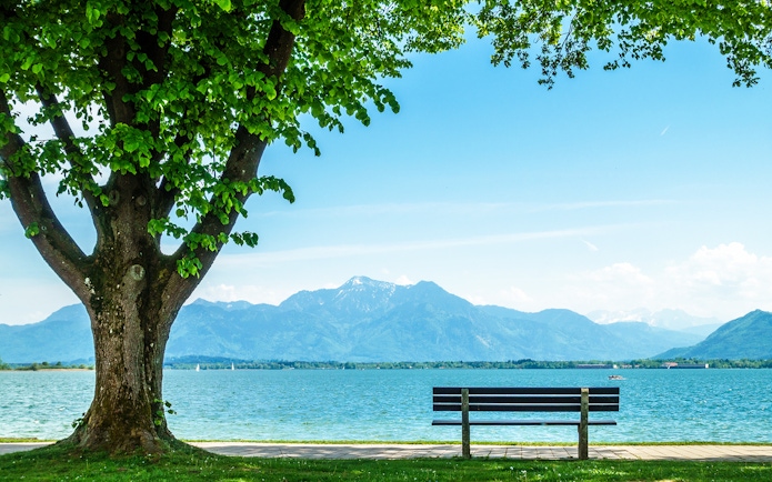 Bench under tree overlooking lake and mountains in Salzkammergut, Austria.