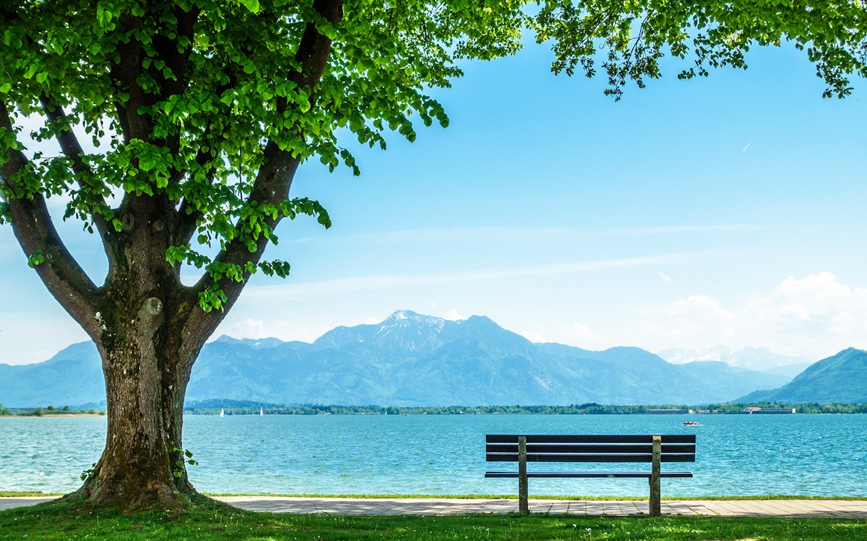 Bench under tree overlooking lake and mountains in Salzkammergut, Austria.