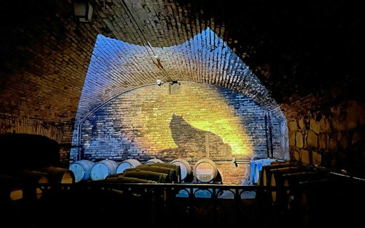 Wine barrels in the cellar of Viña Concha y Toro, Santiago, Chile.