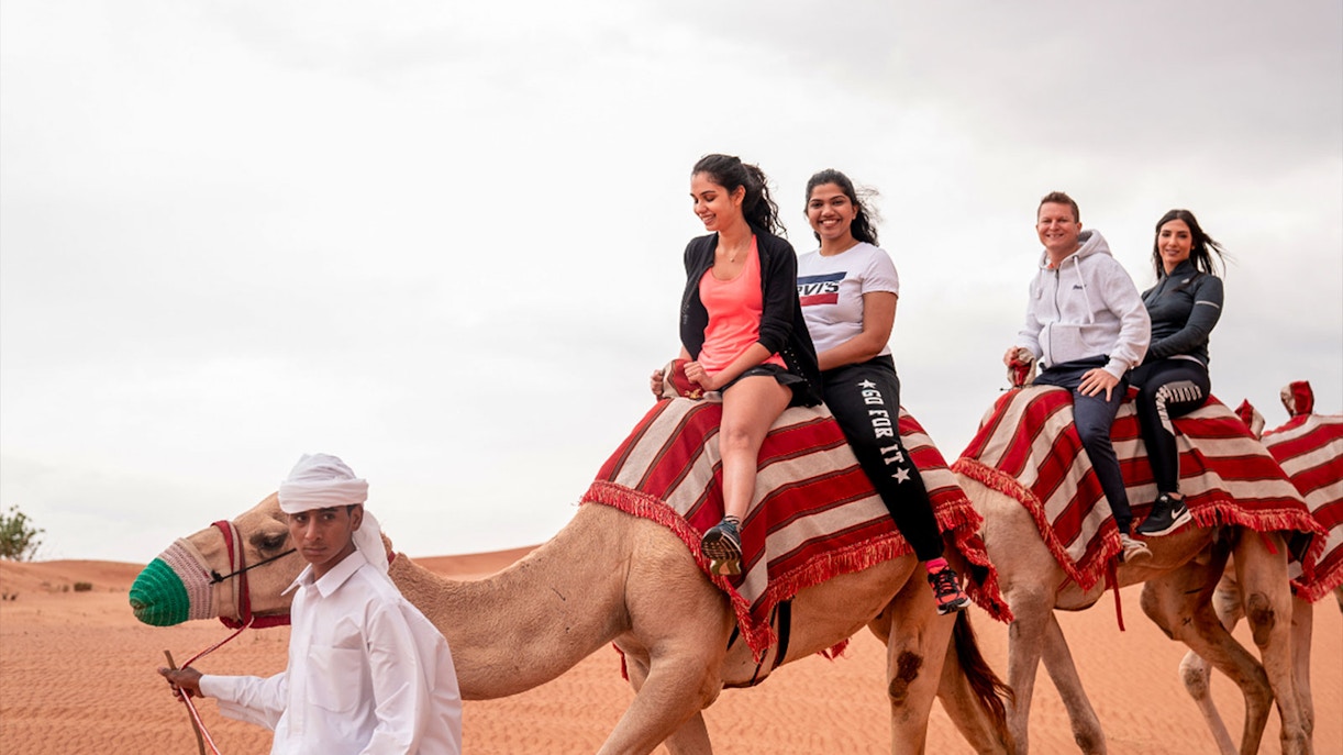 Best time to go - Camel Riding in Dubai