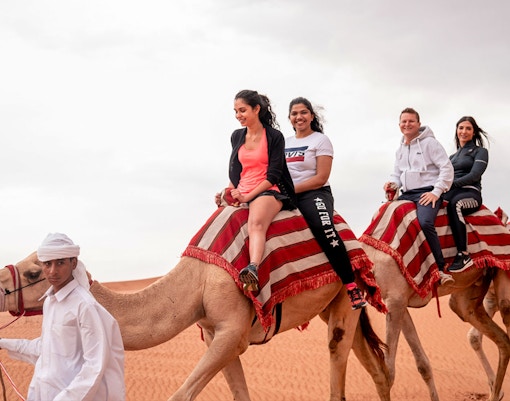 A person with a falcon in his hand