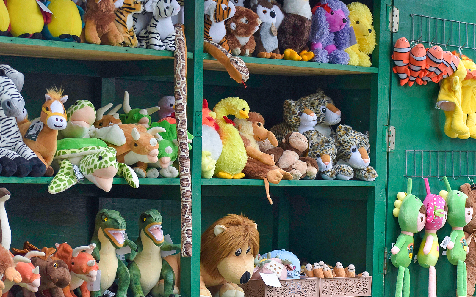 Stuffed animal toys displayed on shelves in a zoo shop.