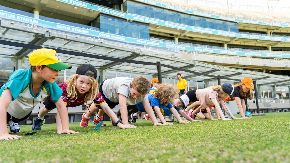 Ground View of the Stadium