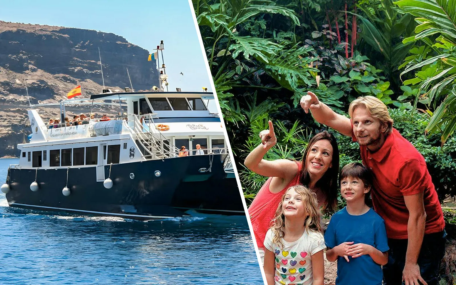 Combo: Gran Canaria Dolphin & Whale Watching Cruise + Palmitos Park 1-Day Entry Tickets