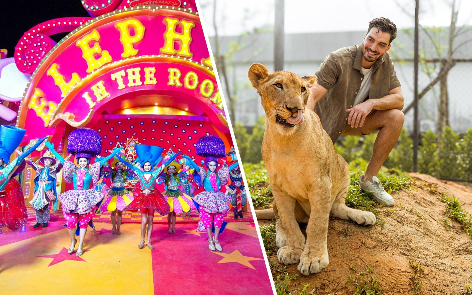 Carnival performers in vibrant costumes at Elephant in the Room show, and a man with a lion at Lion Land Phuket.