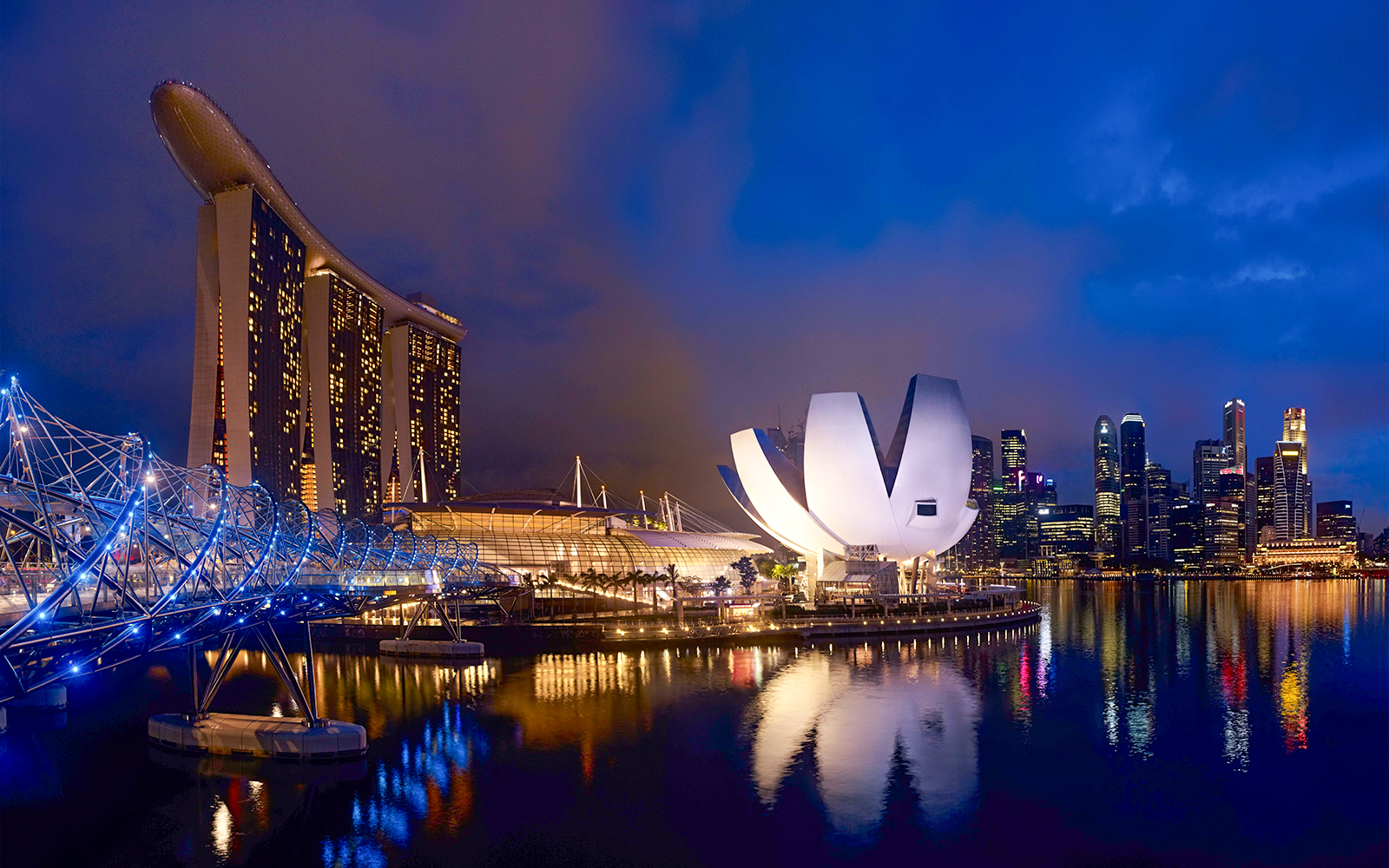 Gardens by the Bay and Marina Bay Sands skyline at night, Singapore.