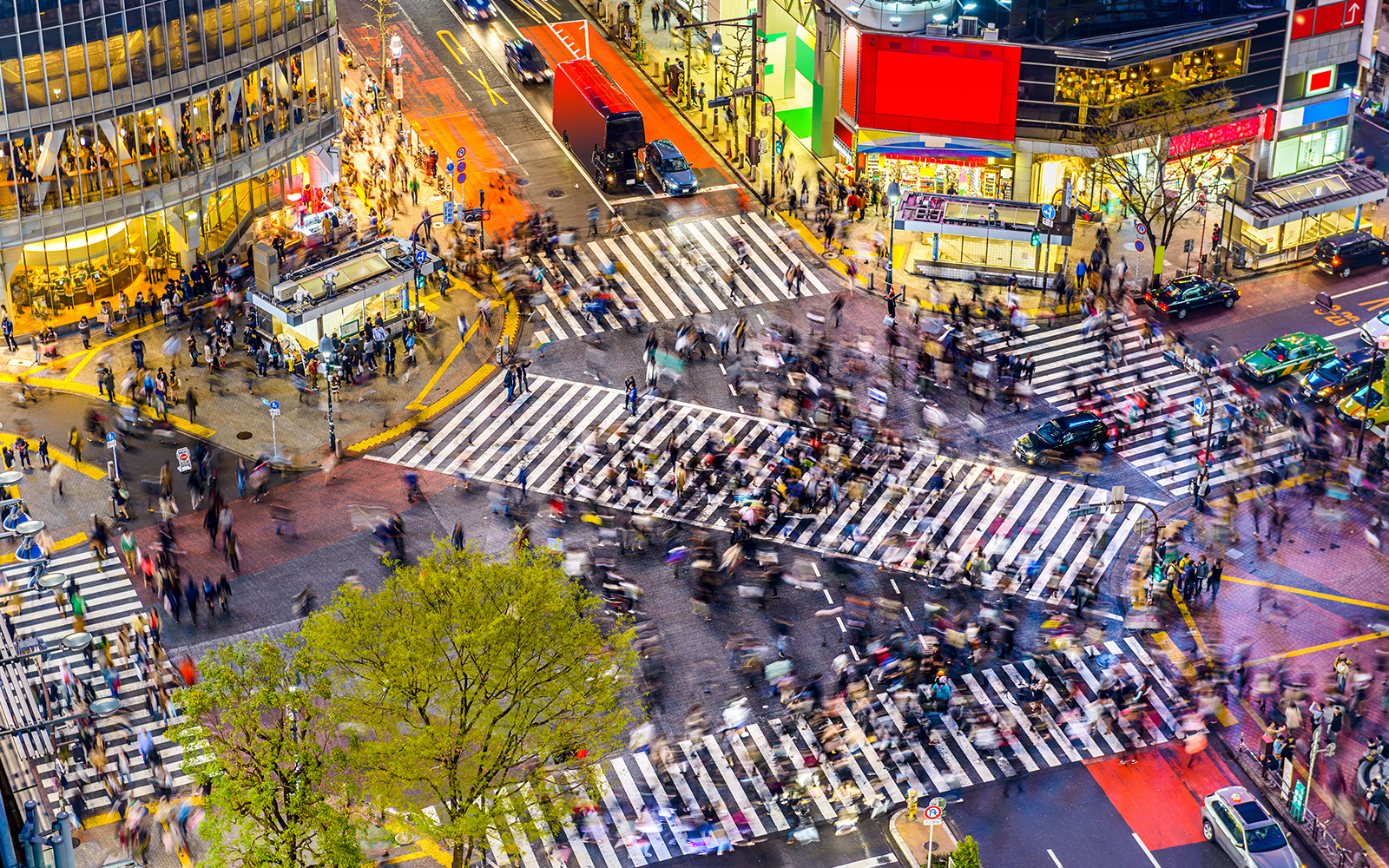Crowds crossing Shibuya Crossing in Tokyo, Japan at night.