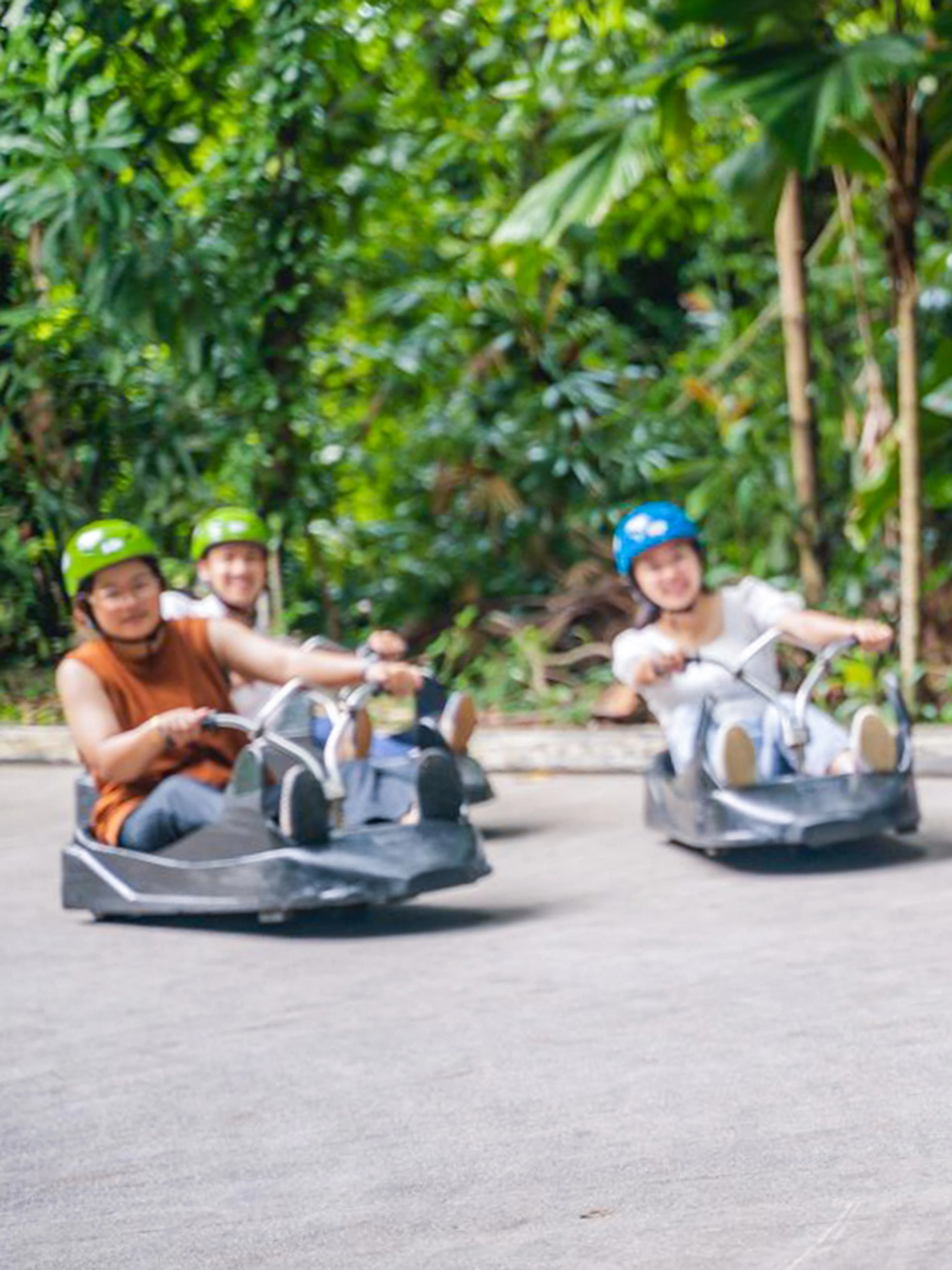 People enjoying a luge ride at Skyline Luge Singapore, surrounded by lush greenery.