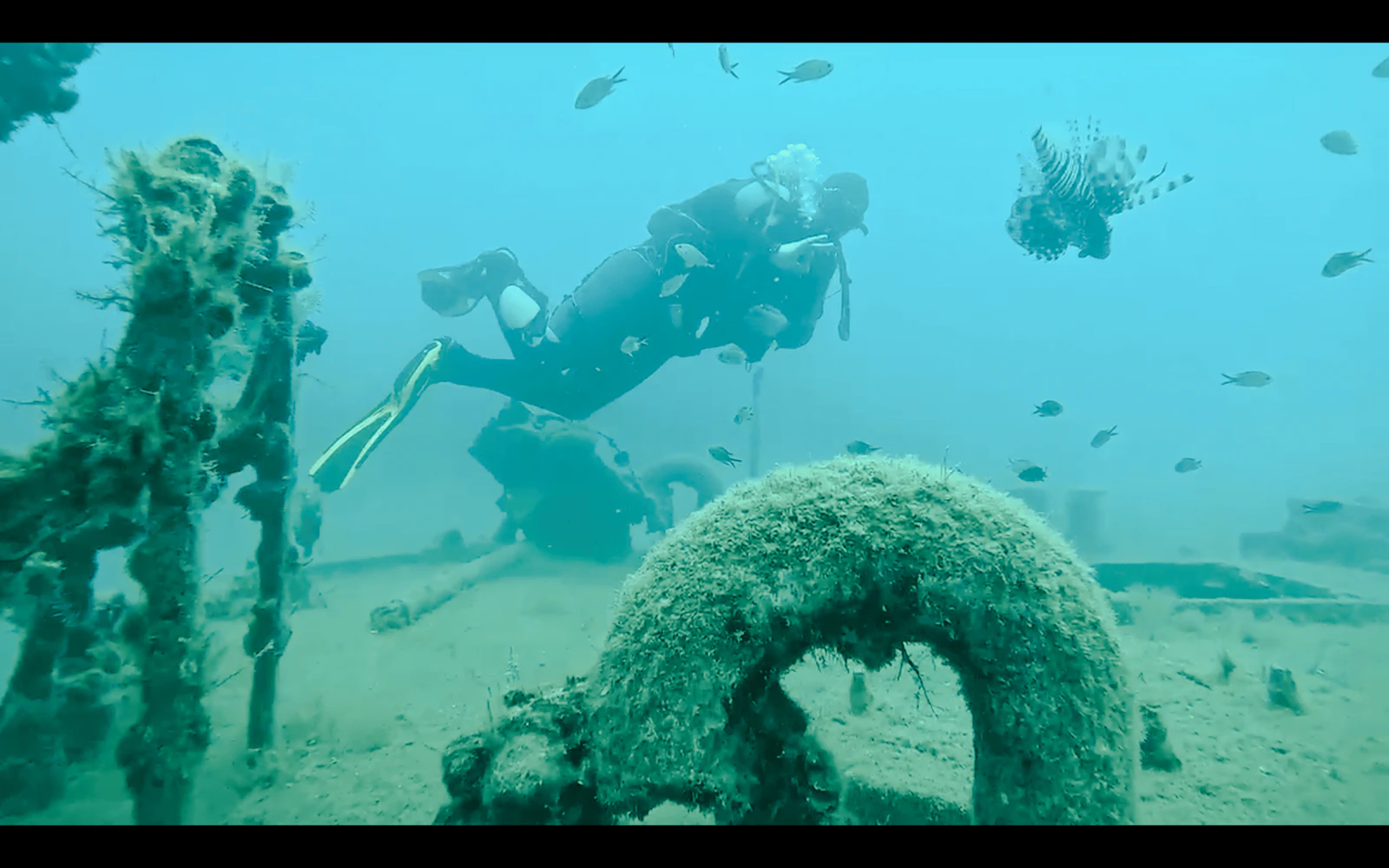 Side Scuba Diving at Side Underwater Museum with Hotel Transfers and Lunch Image 2