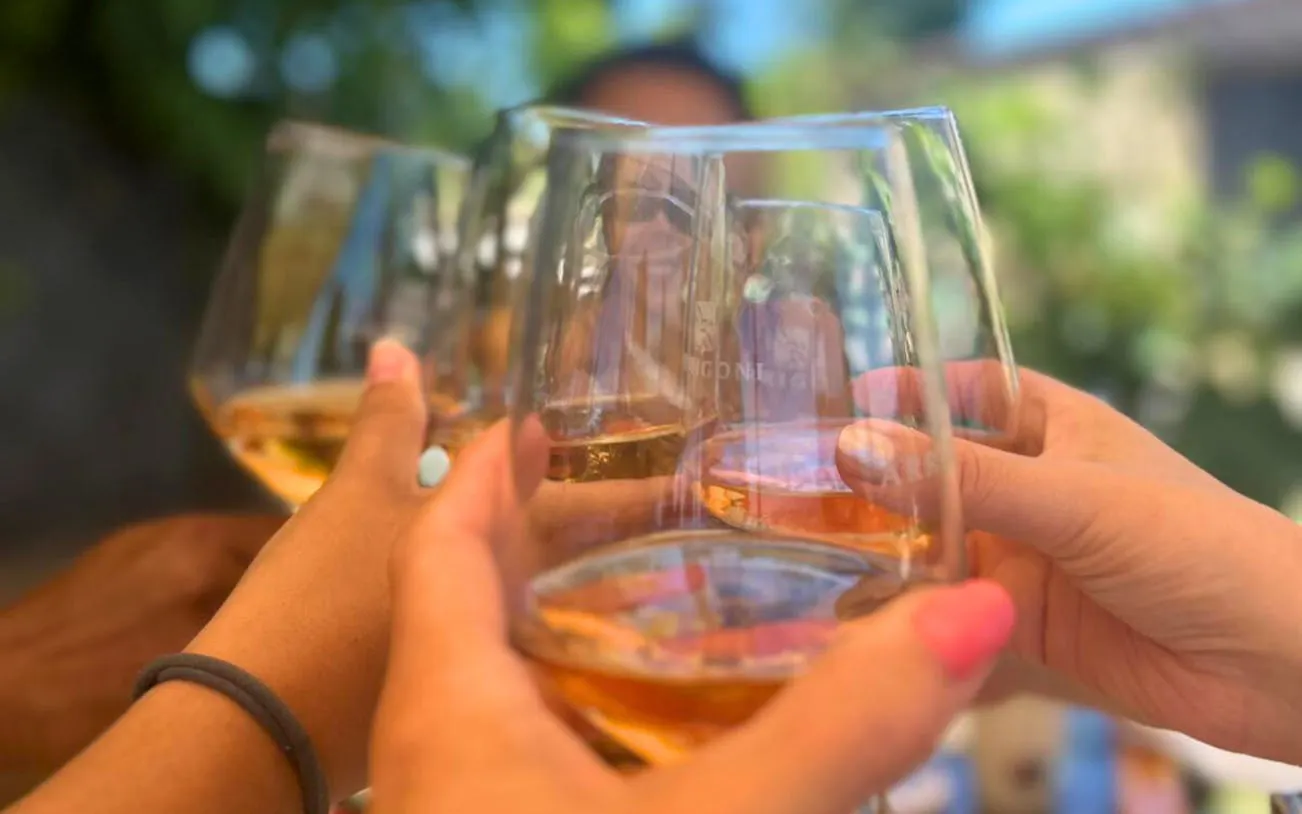 Toasting wine glasses during a Tuscany wine tour.