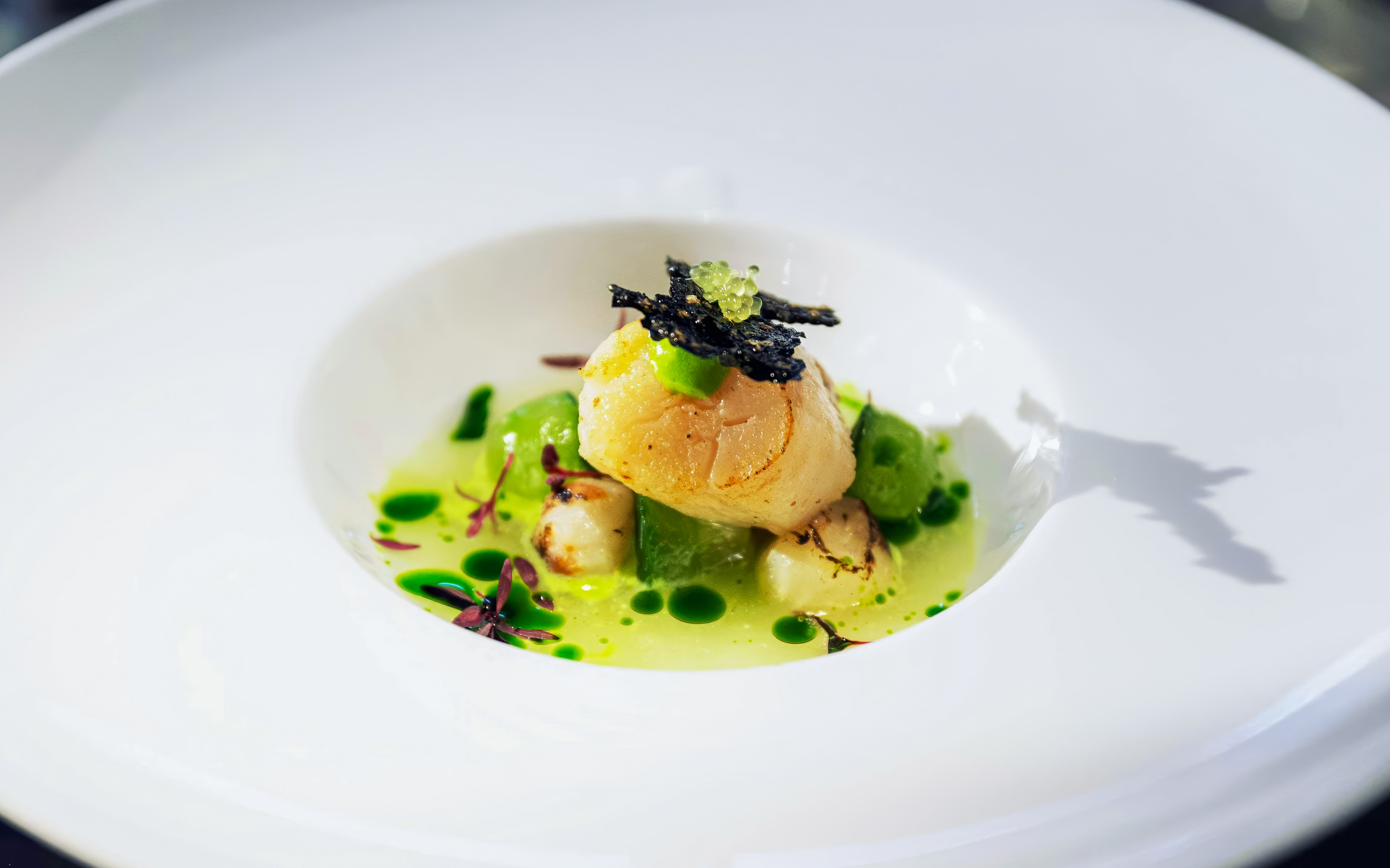 Seared scallops on pea puree with microgreens at Viking Museum, Stockholm.