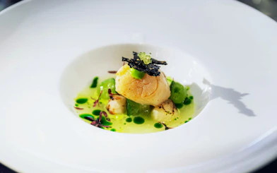 Seared scallops on pea puree with microgreens at Viking Museum, Stockholm.