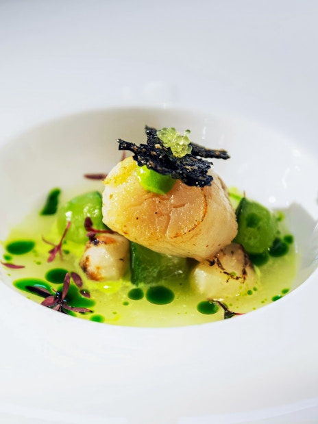 Seared scallops on pea puree with microgreens at Viking Museum, Stockholm.
