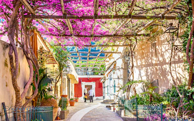 Pathway with blooming bougainvillea in Positano, Italy, leading to an art gallery.