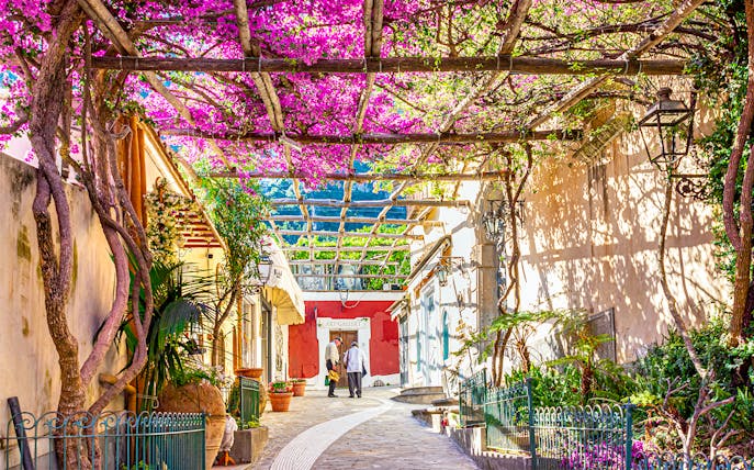 Pathway with blooming bougainvillea in Positano, Italy, leading to an art gallery.