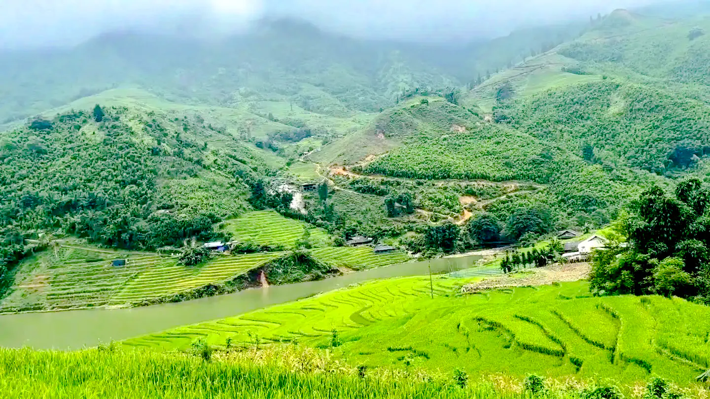 Terraced rice fields in Sapa with lush green hills and a river, part of the Sapa 1 Day Tour.