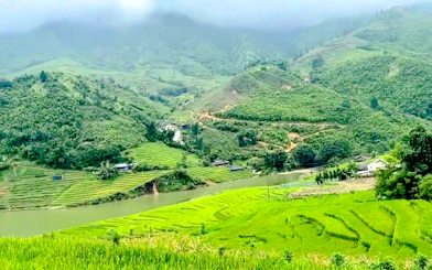 Terraced rice fields in Sapa with lush green hills and a river, part of the Sapa 1 Day Tour.