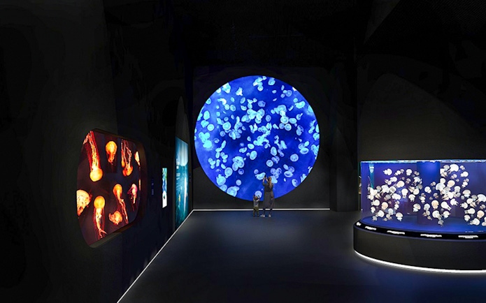 Jellyfish display at Singapore Oceanarium with visitors observing.