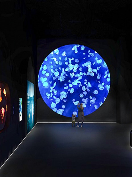 Jellyfish display at Singapore Oceanarium with visitors observing.