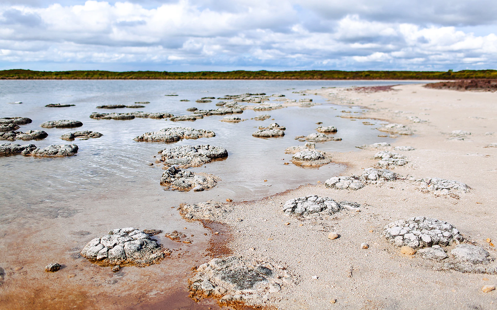 Lake Thetis
