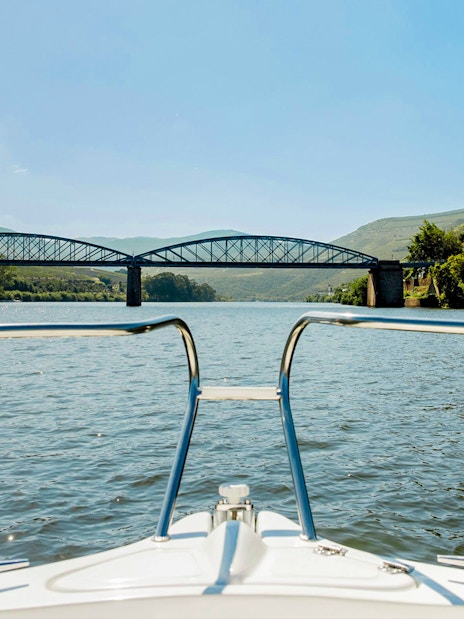 Boat view of bridge and vineyards on Douro River in evening.