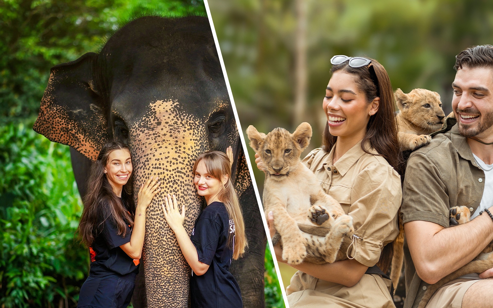 Women interacting with an elephant at Elephant Jungle Sanctuary, Phuket, Thailand.