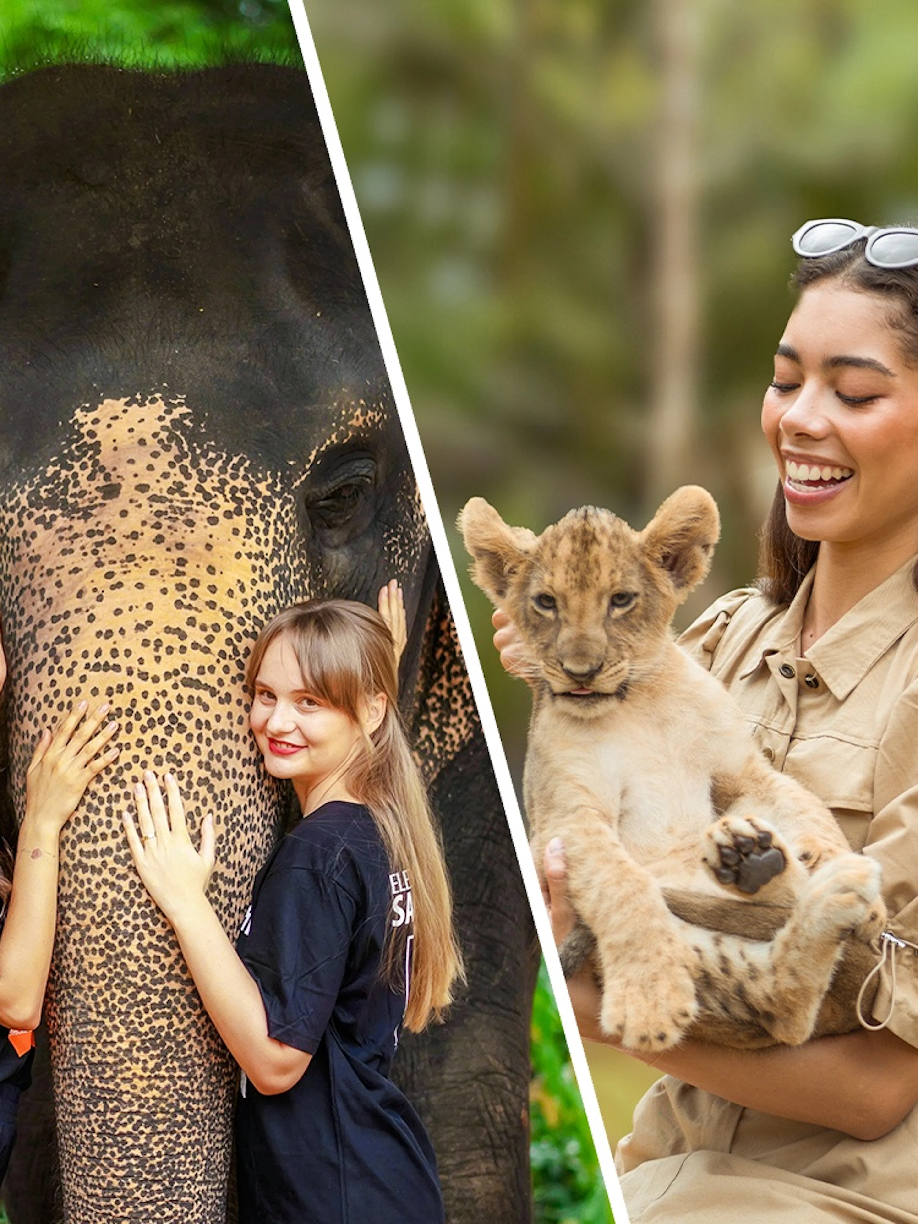 Women interacting with an elephant at Elephant Jungle Sanctuary, Phuket, Thailand.