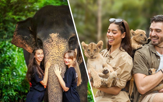 Women interacting with an elephant at Elephant Jungle Sanctuary, Phuket, Thailand.
