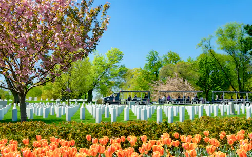 Tram tour passing Arlington National Cemetery with blooming trees and headstones, Washington, D.C.