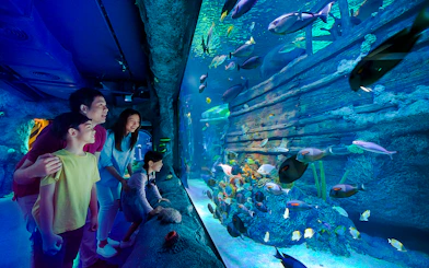 Family exploring shipwreck exhibit at Sea Life Aquarium, Legoland Malaysia.