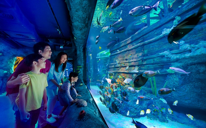 Family exploring shipwreck exhibit at Sea Life Aquarium, Legoland Malaysia.