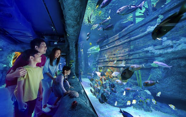 Family exploring shipwreck exhibit at Sea Life Aquarium, Legoland Malaysia.
