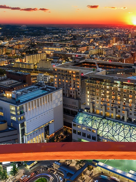 Kyoto cityscape from Kyoto Tower at sunset, highlighting urban architecture.