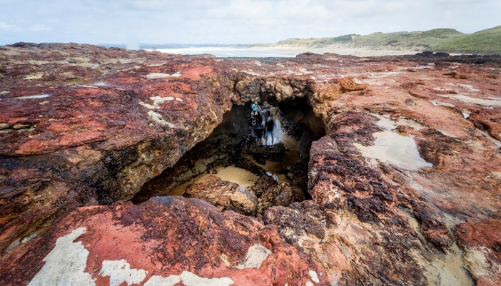 Forest caves with rocky formations at Phillip Island, Victoria, Australia.