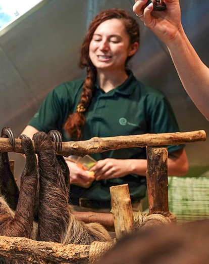 Family interacting with a sloth at Green Planet Dubai.
