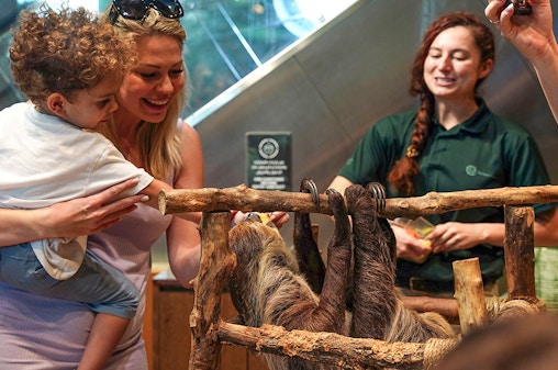 Green Planet Dubai Tickets