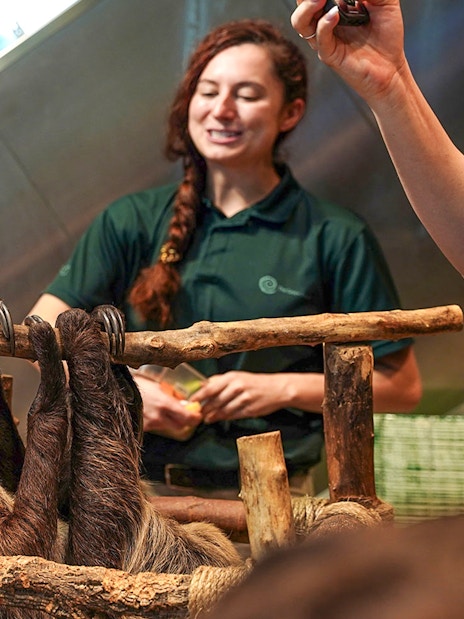 Family interacting with a sloth at Green Planet Dubai.