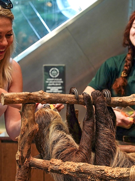 Family interacting with a sloth at Green Planet Dubai.