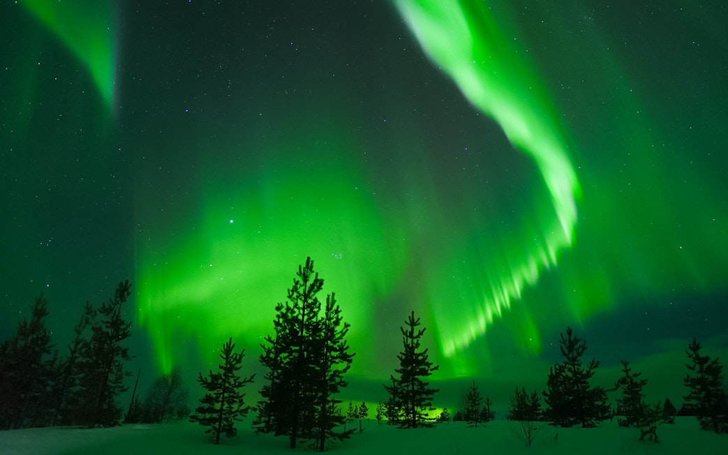 Northern Lights over snowy forest in Levi, Finland.
