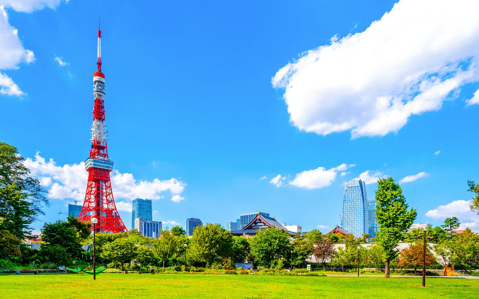 Tokyo Tower rising above Shiba Park with cityscape in the background.