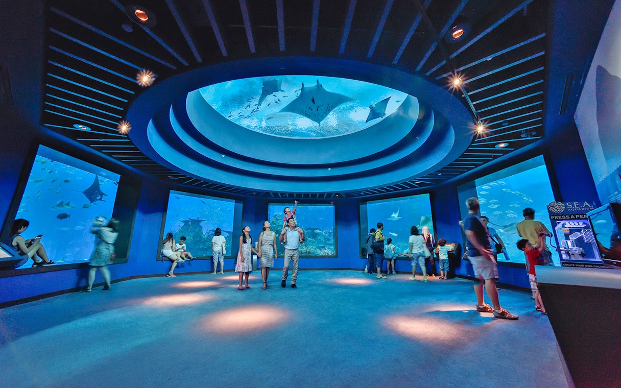 Visitors observing marine life at SEA Aquarium Singapore.