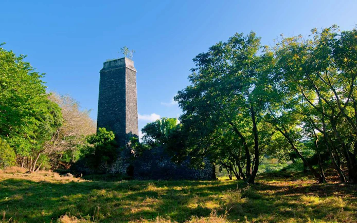 Old stone chimney surrounded by lush trees on the Bel Ombre wilderness tour.