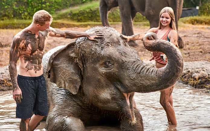 Young couple enjoying a mud bath with an elephant at Bali Zoo.