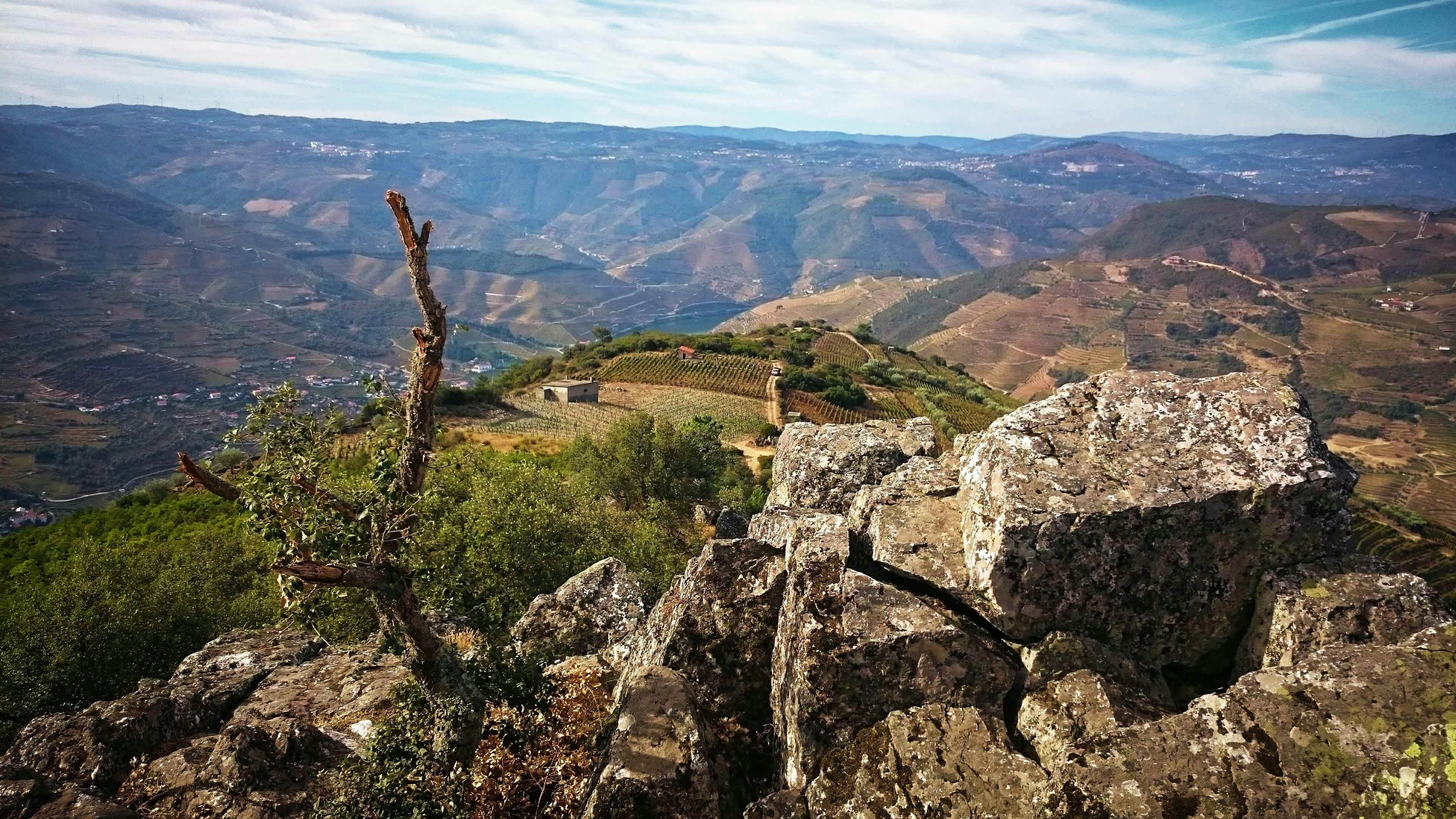 Vineyards and hills in Douro Valley, Portugal, with rocky foreground and distant mountains.